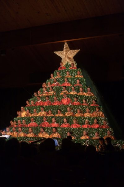 singingchrismastree201116.jpg