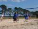 dsc_0617_small.jpg